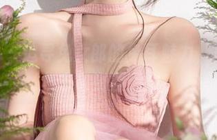 pans – 追寻兔女郎的兔耳魅力，思思图集丰富资源无限！
