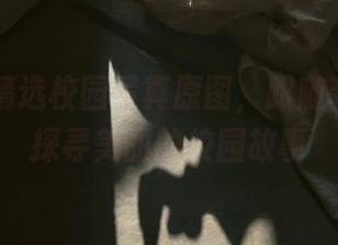 丽柜 – 精选校园写真原图，跟随菲菲一起探寻美丽的校园故事