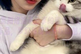 一起欣赏狐洛洛子分享的鲨鱼妹女仆写真作品，梦幻与现实交织的魅力