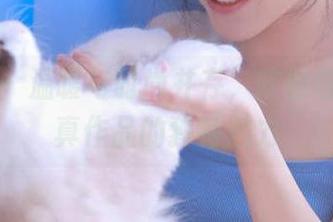 轰趴猫 – 温暖与时尚并存，陈雅漫棉袜写真作品的独特魅力